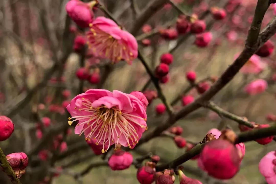 利来·国际(中国)最老牌-中国官网