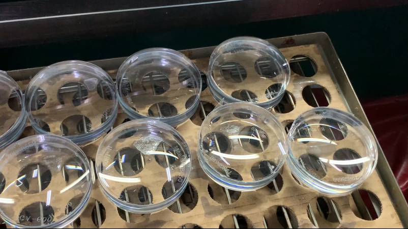 利来·国际(中国)最老牌-中国官网